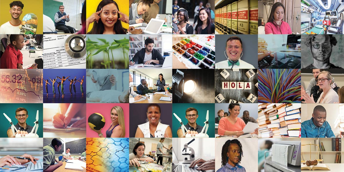 Collage of images representing the many disciplines at AACC.