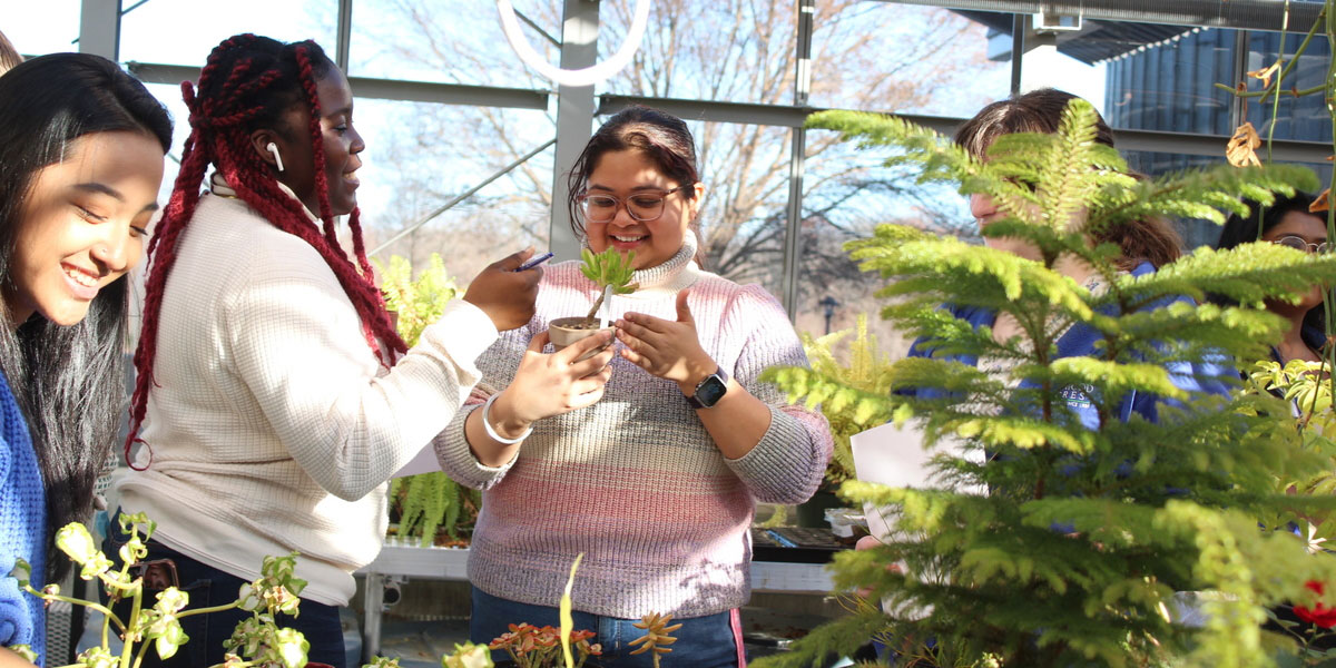 Students in environmental lab.