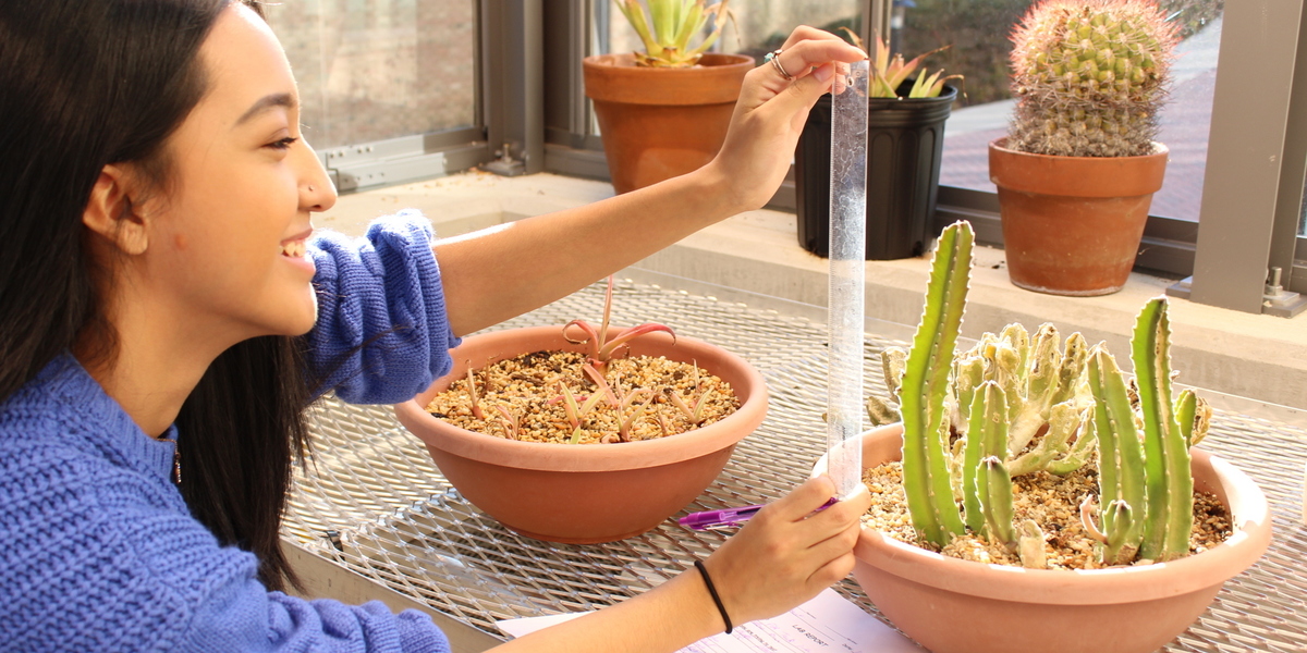 Student testing plants in environmental lab.
