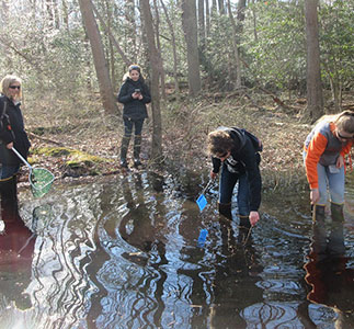 Photo of students participating in vernal pond study.