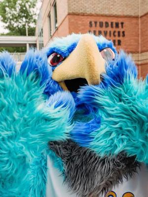 Swoop really close to the camera.