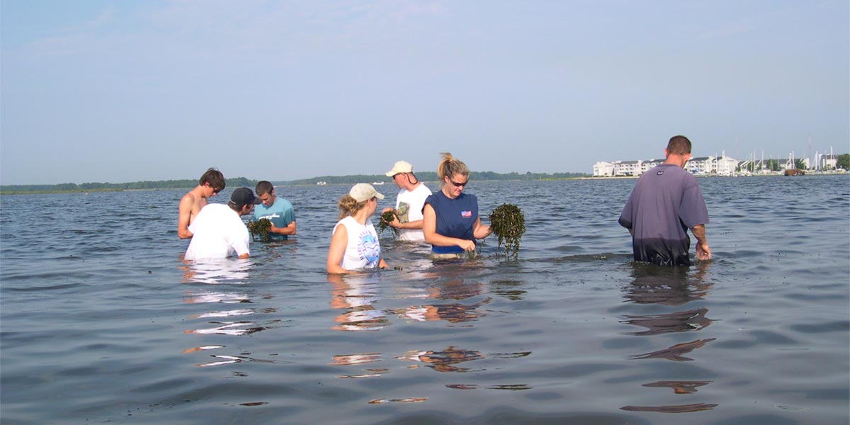 Service Learning students taking water samples.