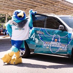 300x300 image of Swoop with car.