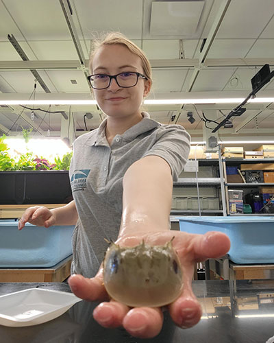 Maggie Nester holding a horseshoe crab