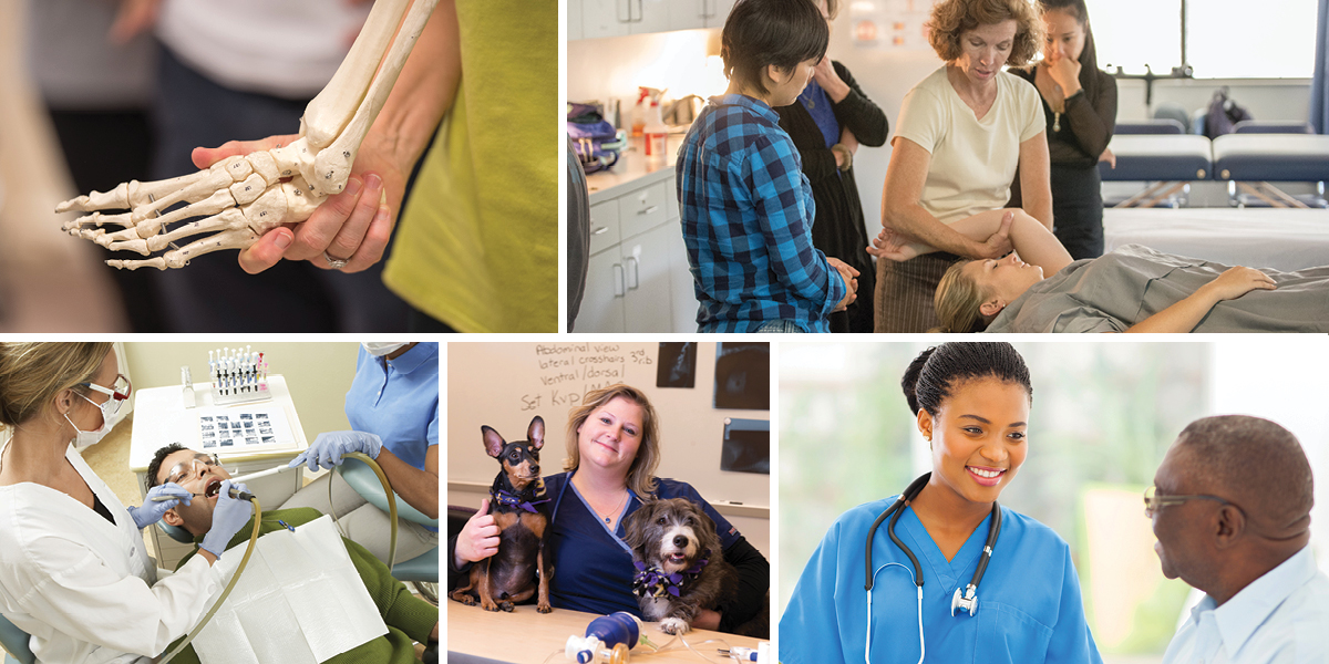 Noncredit Registration - Anne Arundel Community College