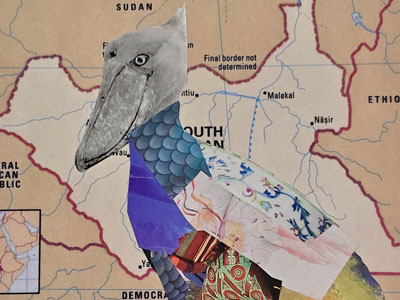 Artwork of map with a bird.