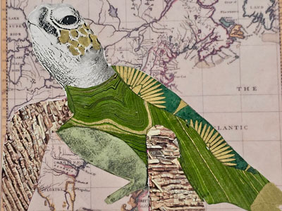 Artwork of map with turtle.