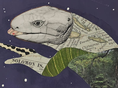 Artwork of map with lizard.