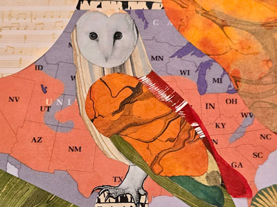 Artwork of map with owl.