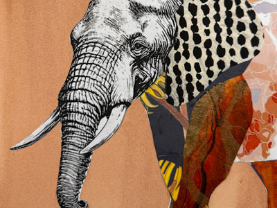Artwork of map and elephant