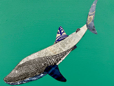 Artwork of map and whale.