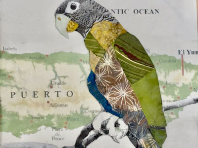 Artwork of map and bird.