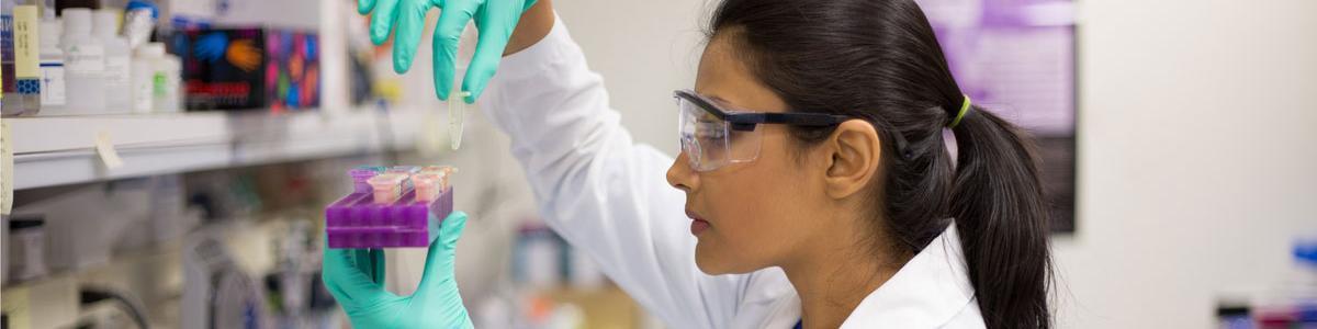 A student studies vials in a medical laboratory classroom.