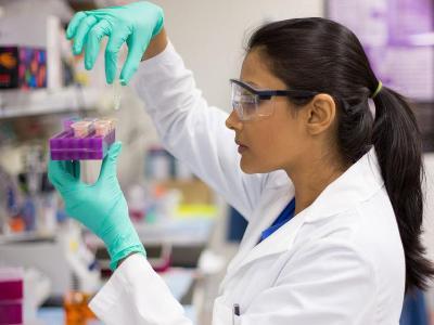 A student studies vials in a medical laboratory classroom.