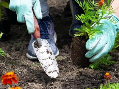  Home & Garden 