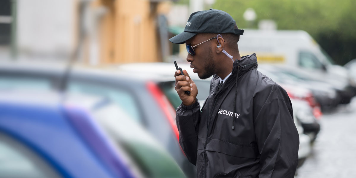 Security Guard investigating car.