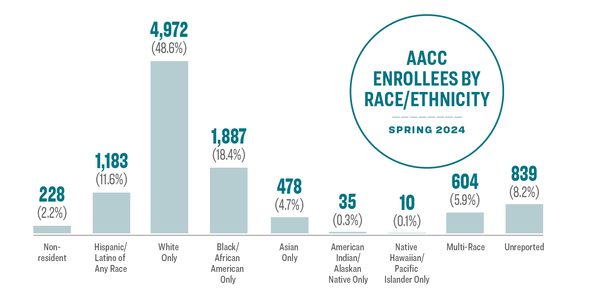 AACC Enrollees by Race/Ethnicity Spring 2024: Non-resident 2.2% (228 students), hispanic/latino 11.6% (1,183 students), white 48.6% (4,972 students), black/african american 18.4% (1,187 students), asian 4.7% (478 students), american indian/alaskan native 0.3% (35 students), native hawaiian/pacific islander 0.1% (10 students), multi-race 5.9% (604 students), unreported 8.2% (839 students).