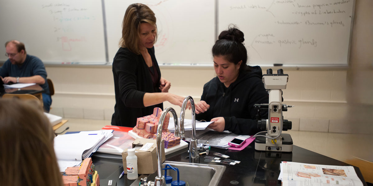 Students working together in a lab setting.