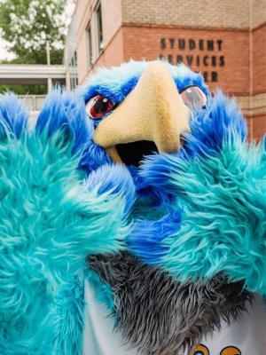 Swoop really close to the camera.