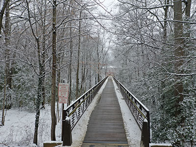 Campus bridge and trees covered in snow