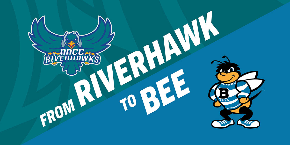 AACC Riverhawk and University of Baltimore Bee logos